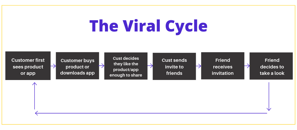 The viral cycle