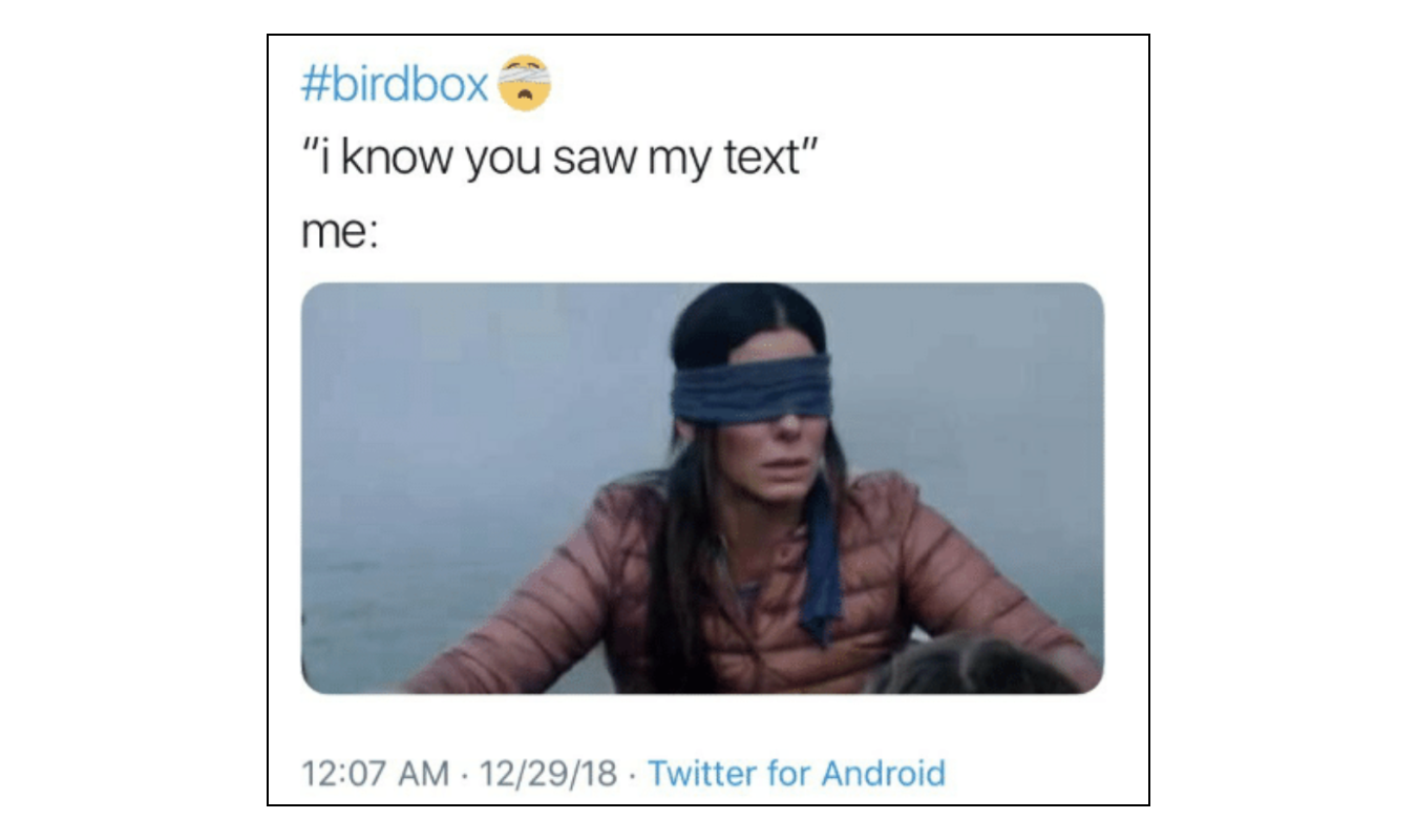 Birdbox meme