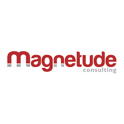 Magnetude logo