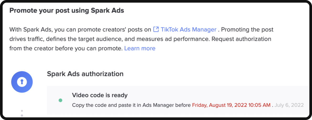 Sparking with TikTok Ads Manager 