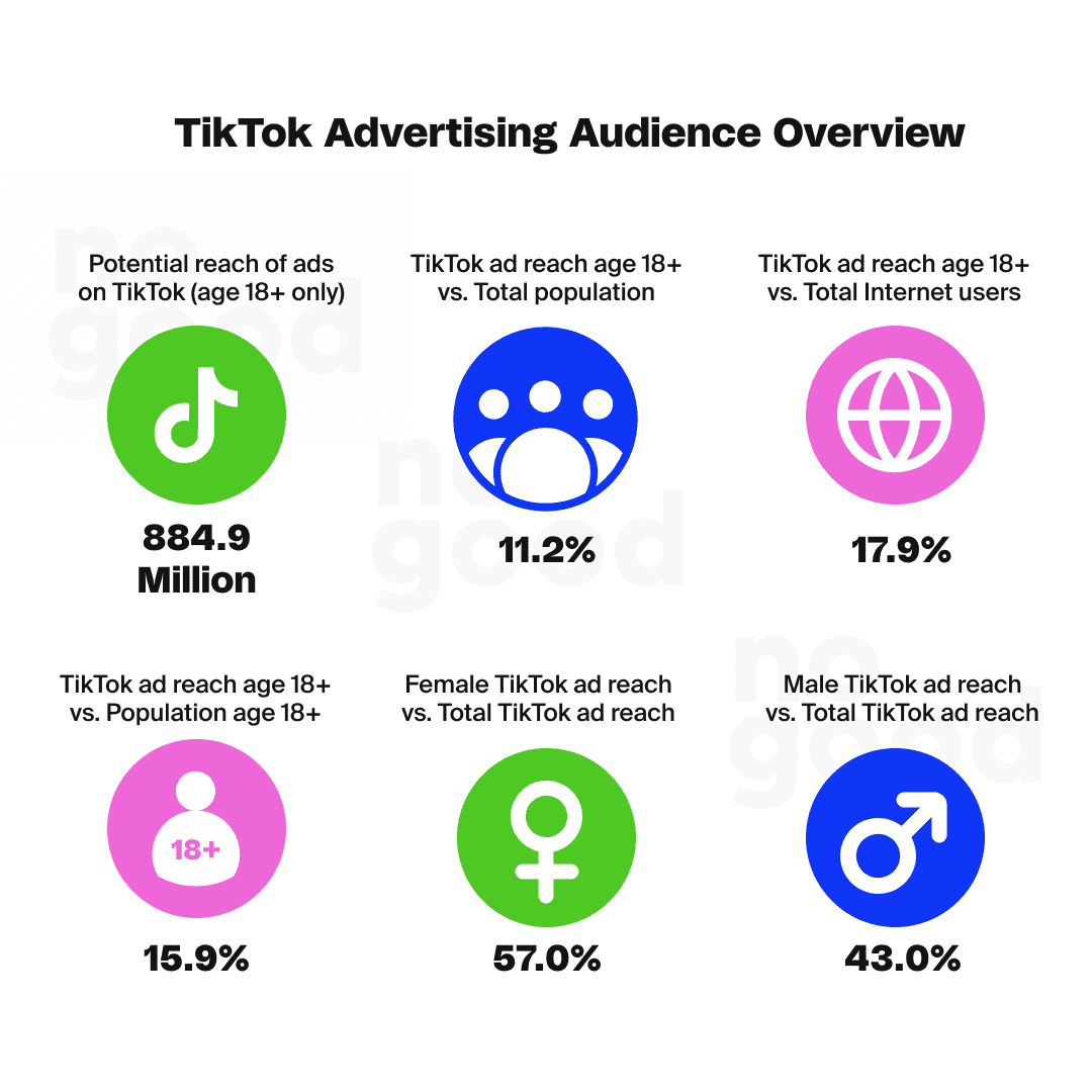 TikTok Ads Audience Overview