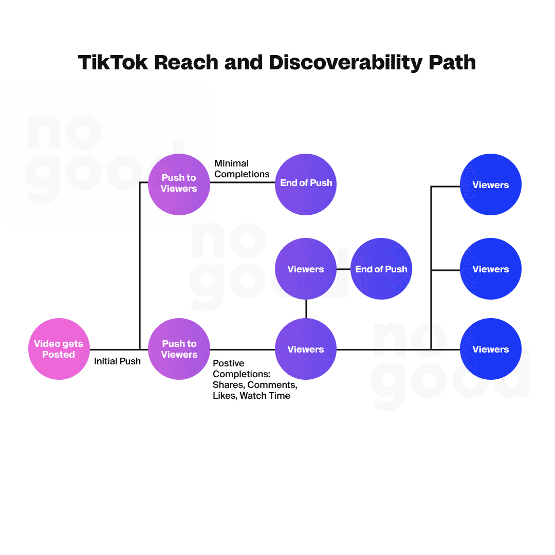 TikTok Reach and Discoverability Path
