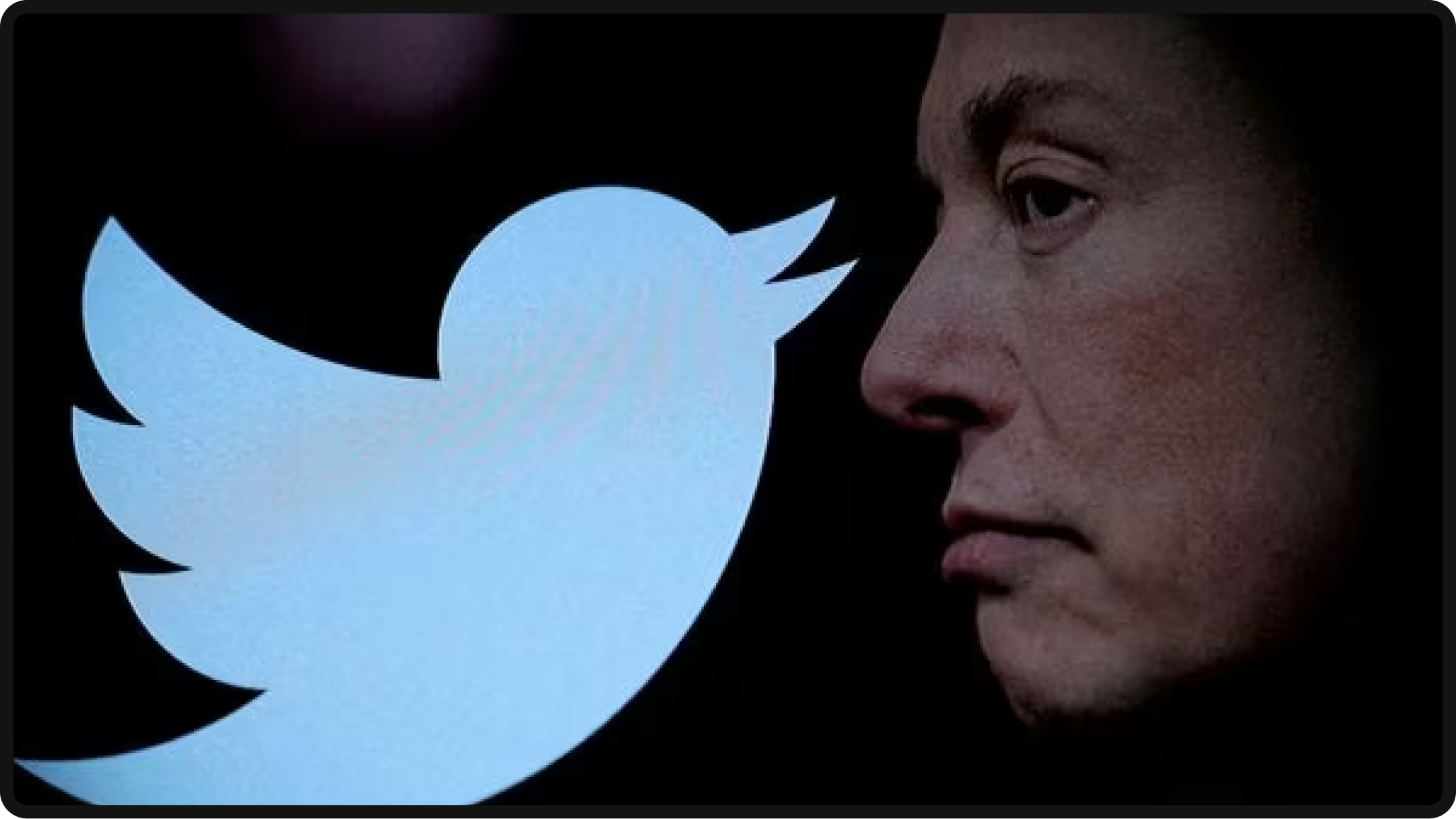 Elon Musk with the Twitter logo