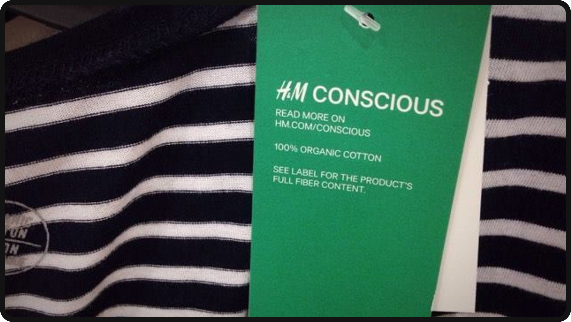 H&M conscious