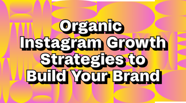 Organic Instagram Growth Strategies