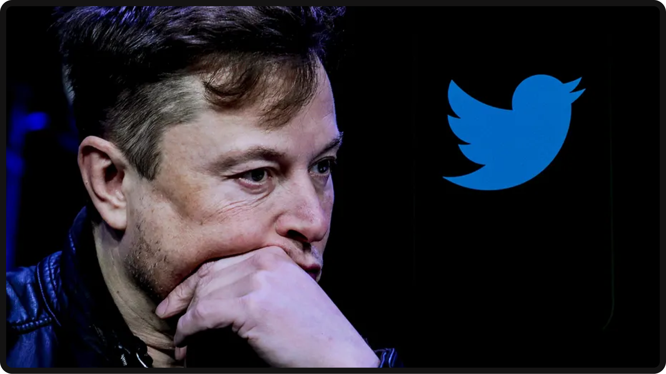 Elon Musk with Twitter logo