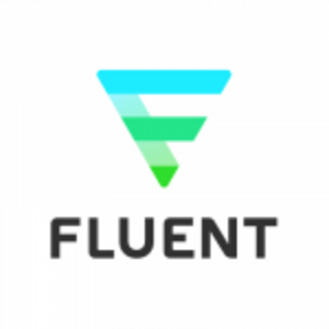 Fluent Inc 