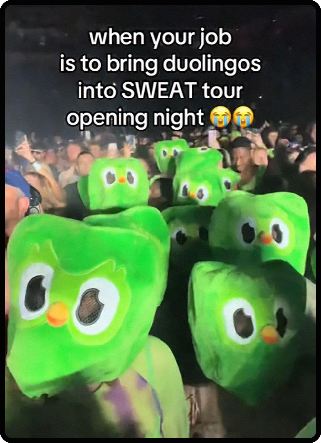 People dressed in owl costumes in a crowd at a concert