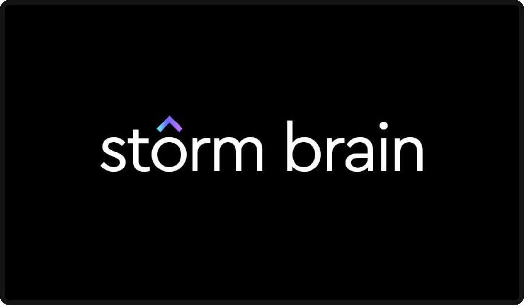 Storm Brain logo, one of the top social media agencies in 2026.
