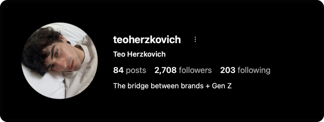 Teo Herzkovich's Instagram account; one of the best marketing Instagram accounts to follow.
