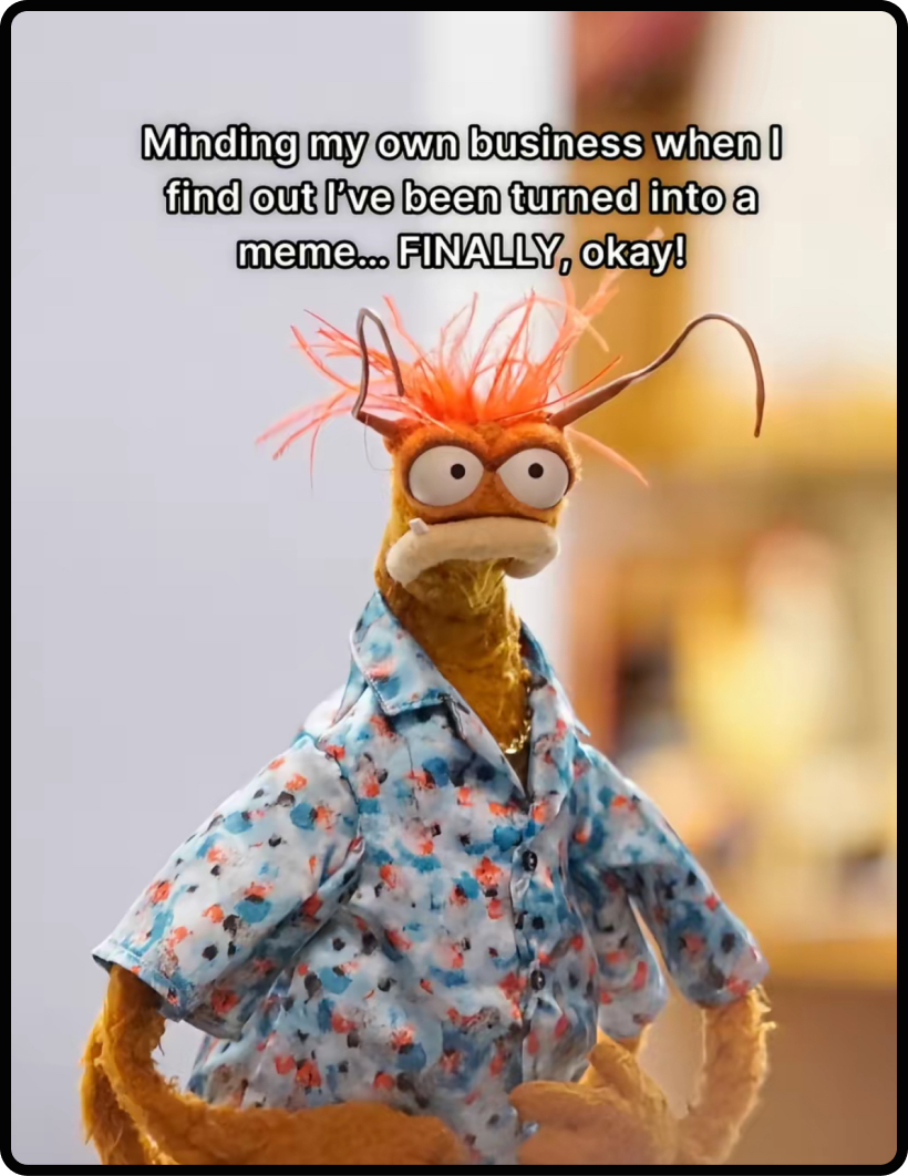 Screenshot of the muppet meme