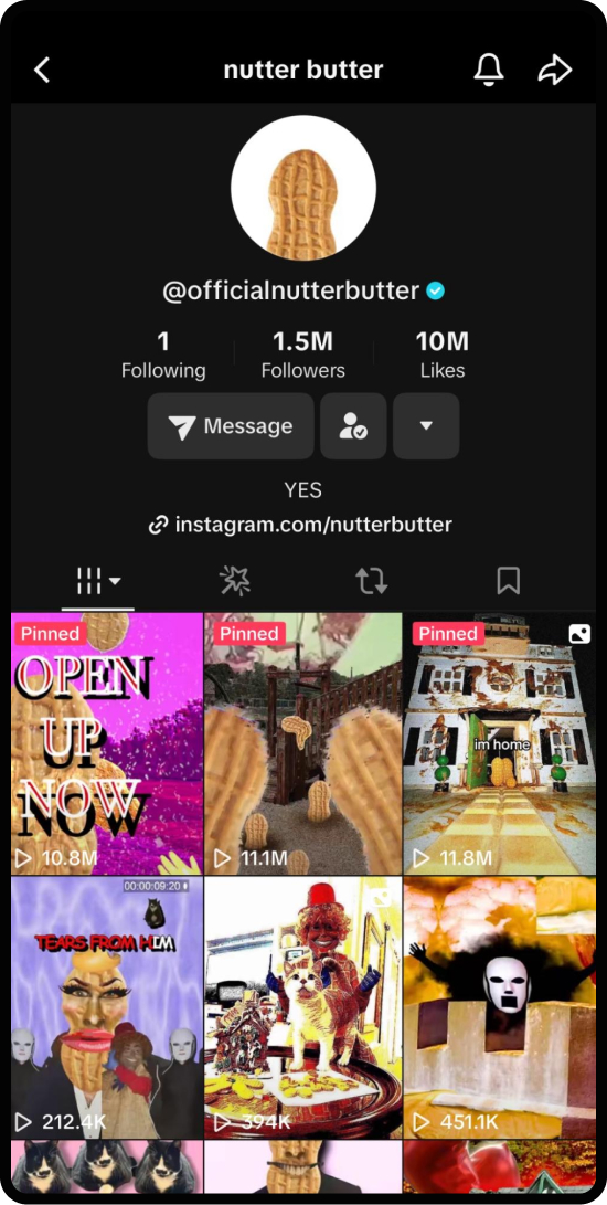 Screenshot of Nutter Butter's TikTok page