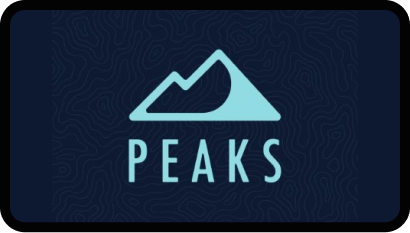 Peaks Digital Marketing logo