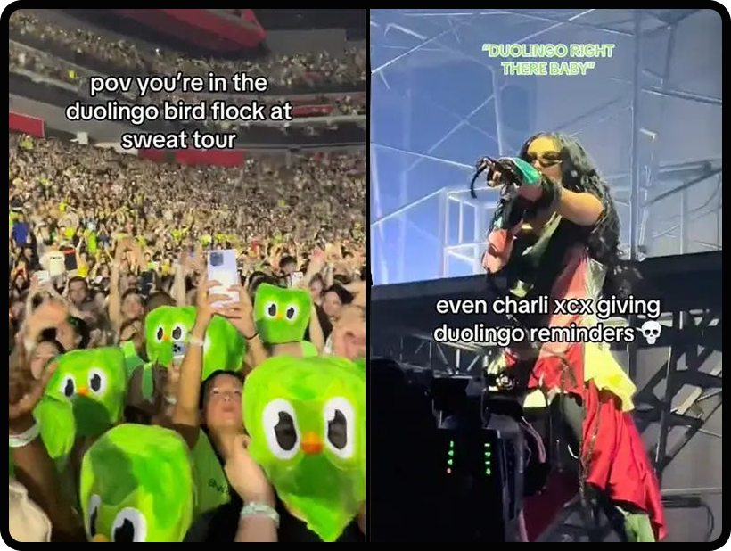 Screenshots of TikToks showing Duo the Owl at the Charlie XCX concert