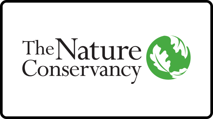The Nature Conservancy logo – one of the best brands on LinkedIn right now.