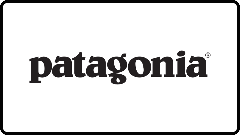 Patagonia logo – one of the best brands on LinkedIn right now.