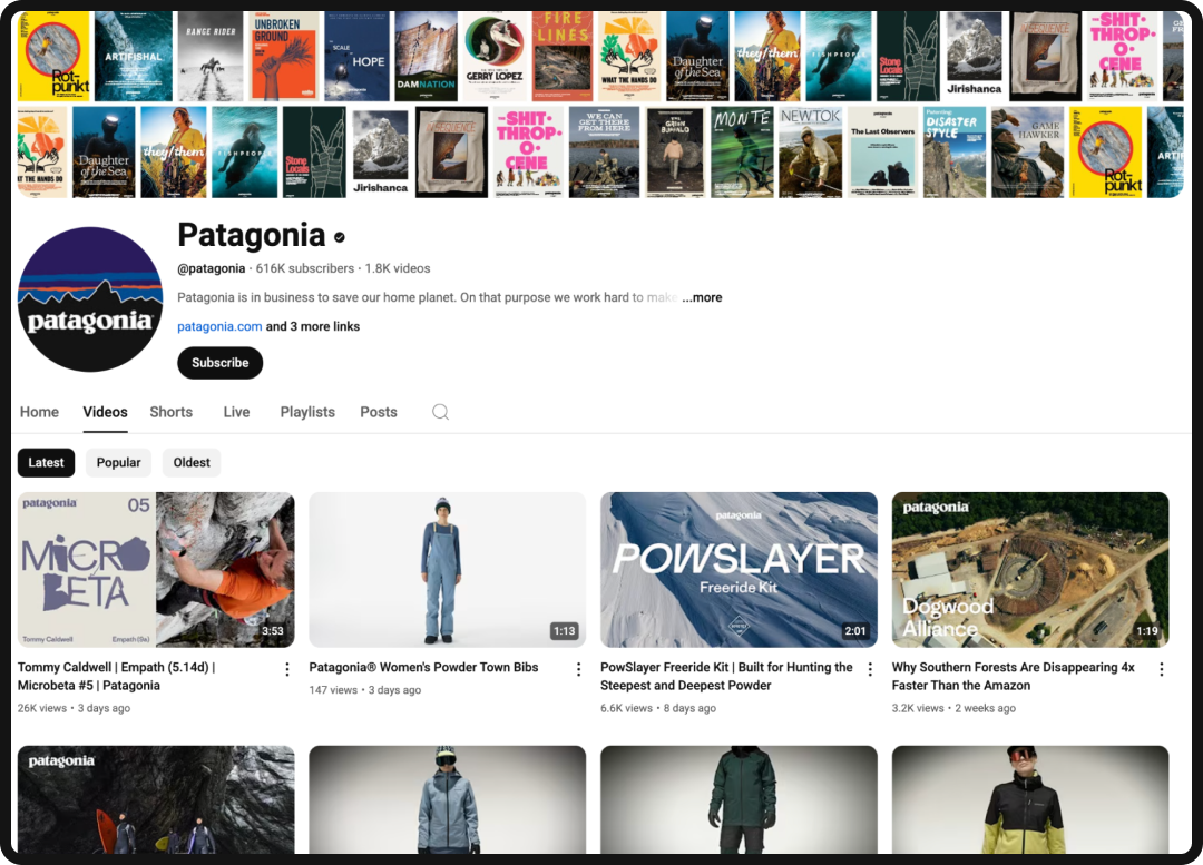 Patagonia's YouTube channel, an example of a successful YouTube brand.