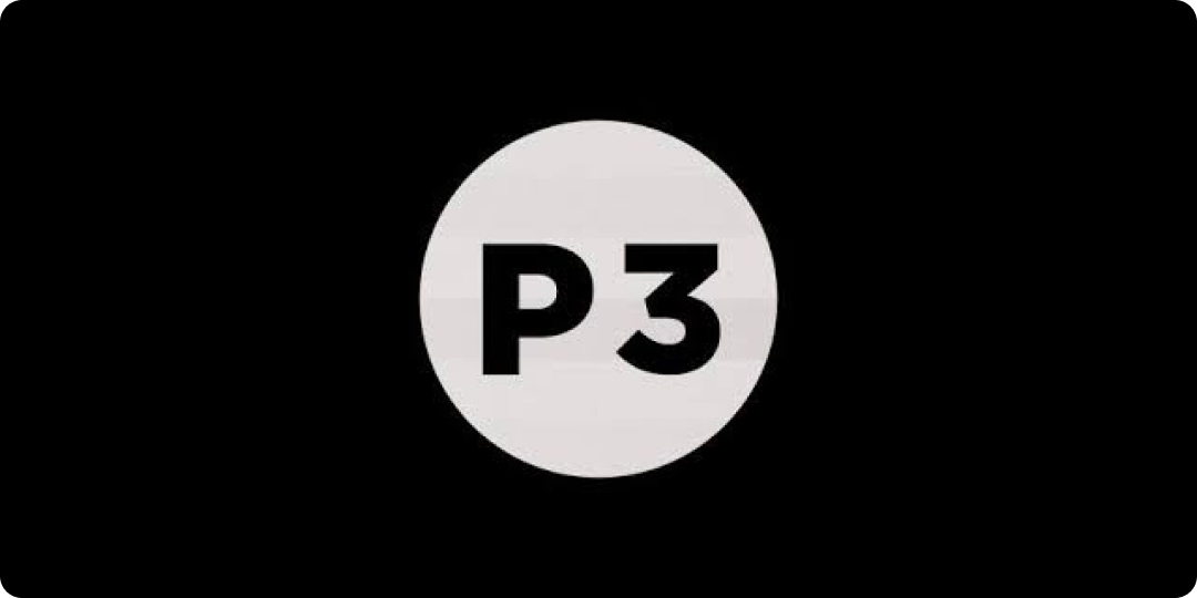 Logo of P3 Media, one of the leading growth marketing agencies in 2026.